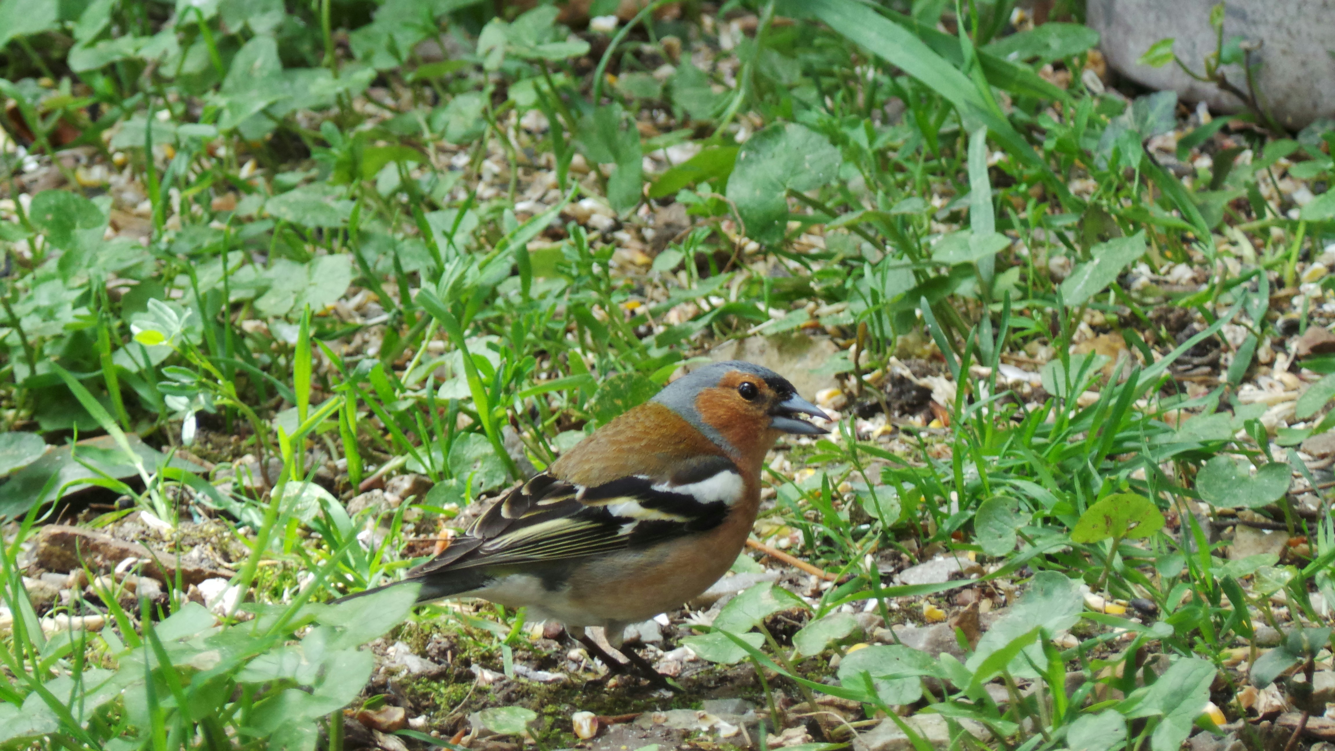 Photo by nathalieandre