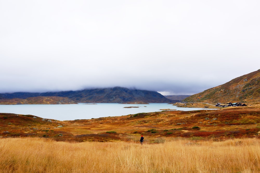 body of water surrounded by mountain