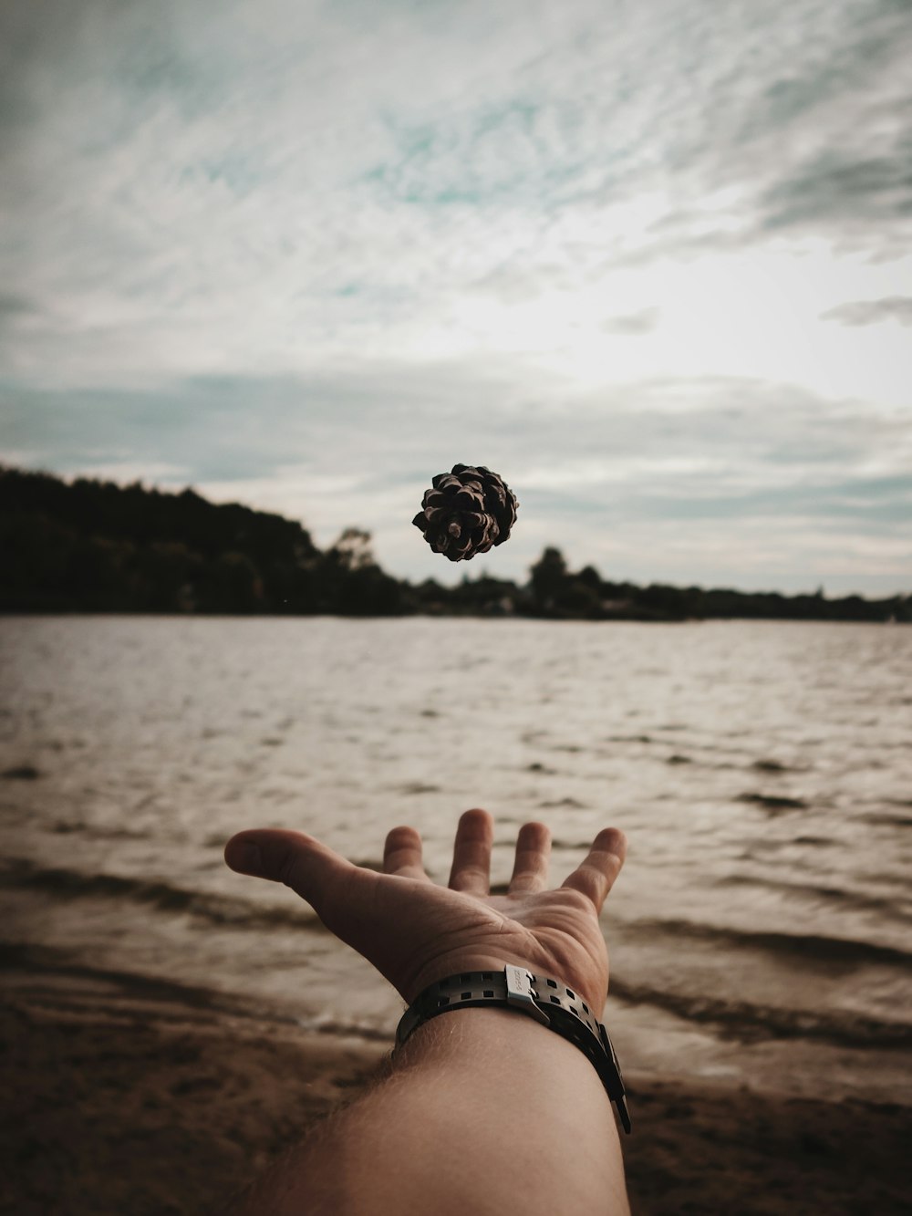 time-lapse photography of a man tossing pine cone in air