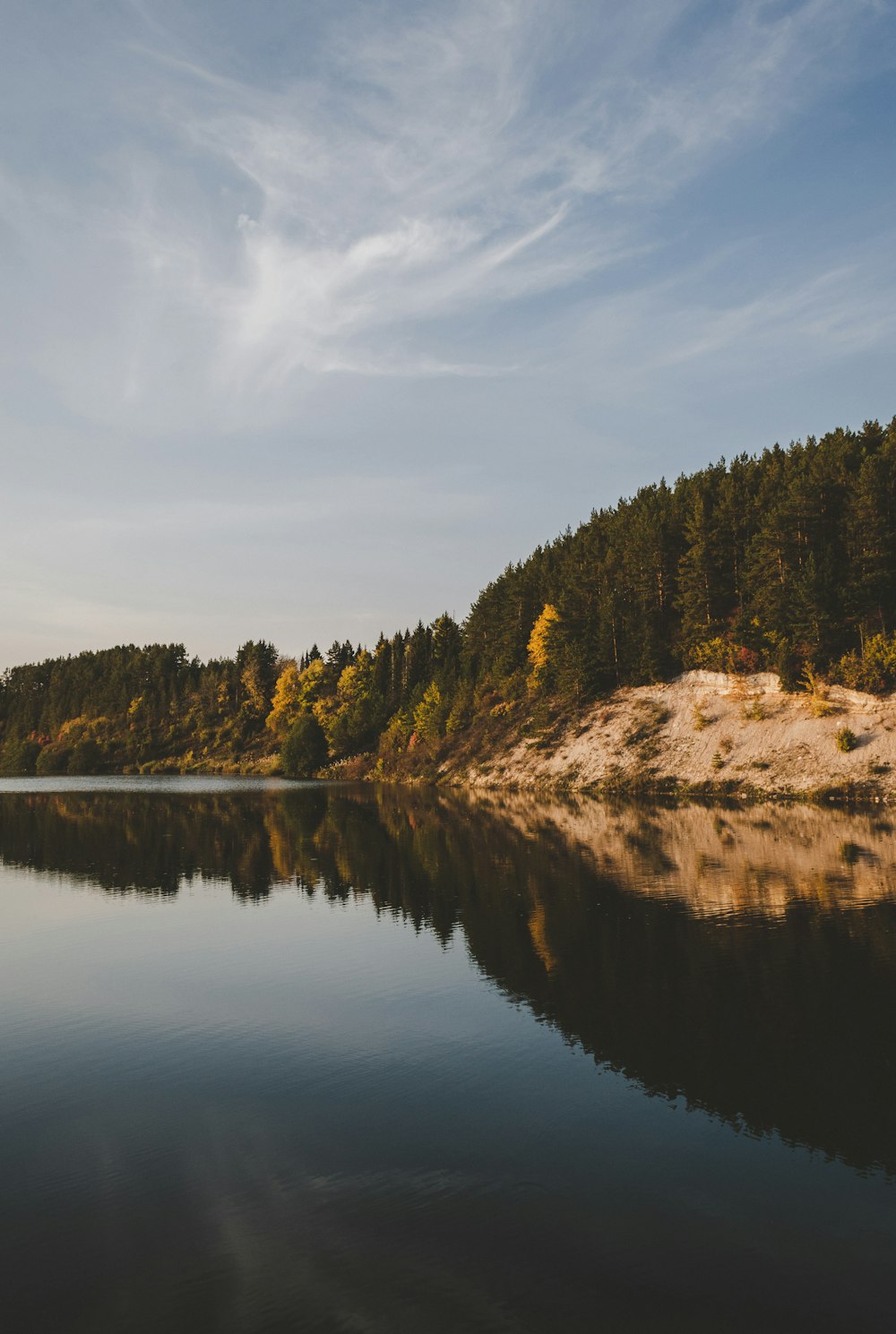 reflection of green trees on body of water