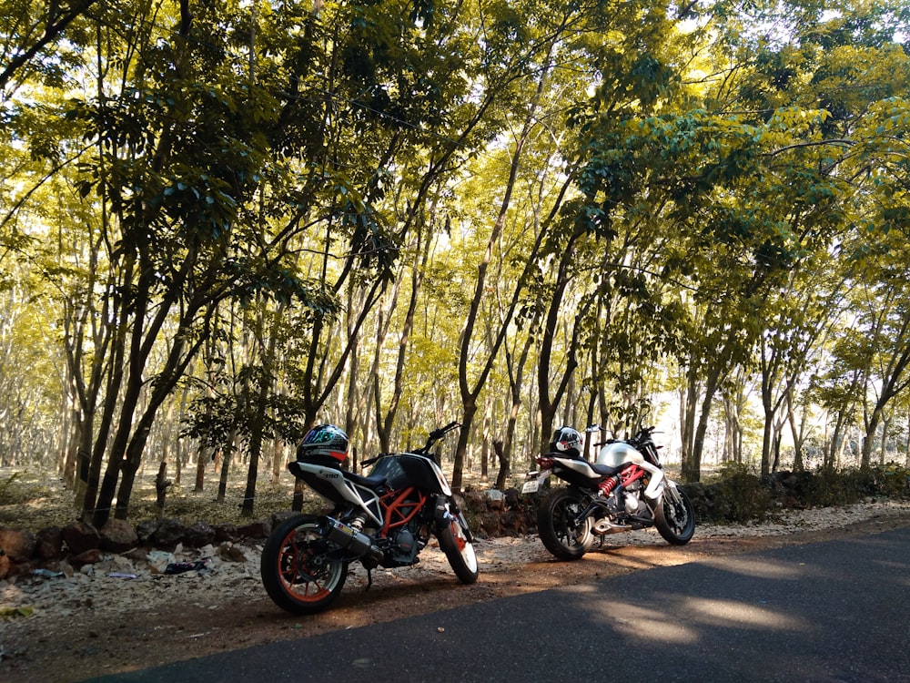 motorcycles parks near trees