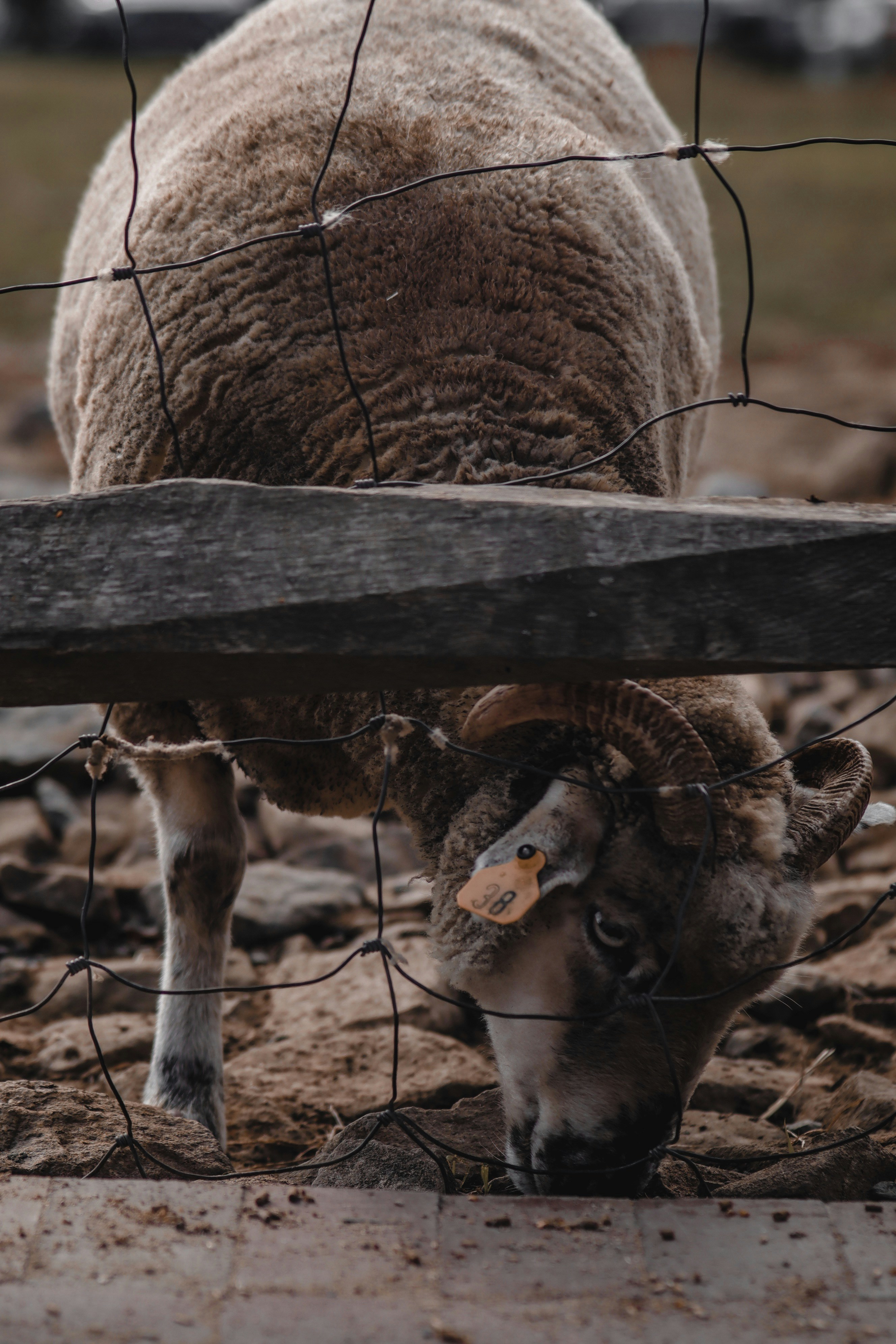 Photo by velasqed