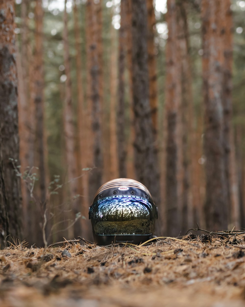 selective focus photography of a helmet on dirt in the forest