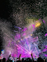 A vibrant live concert with a cheering crowd and colorful stage lights