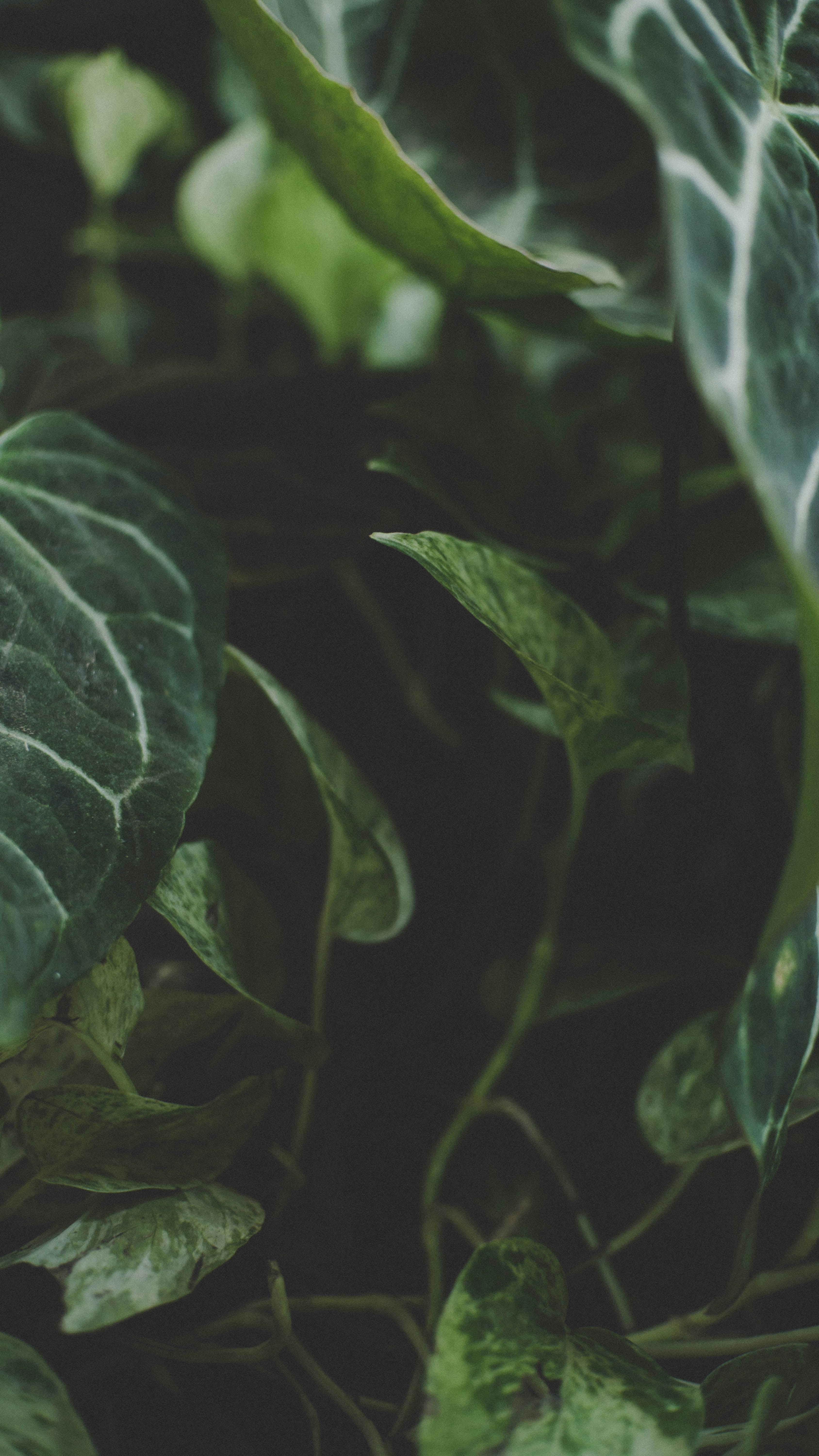 Photo by seadilhakim