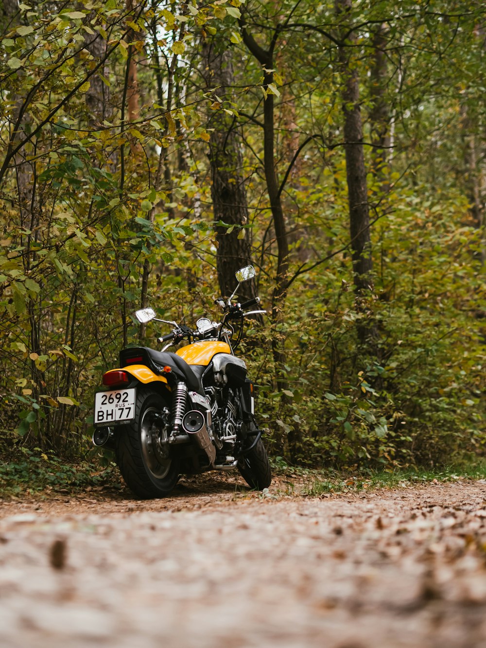 motocicleta amarilla y negra estacionada junto a altos árboles verdes