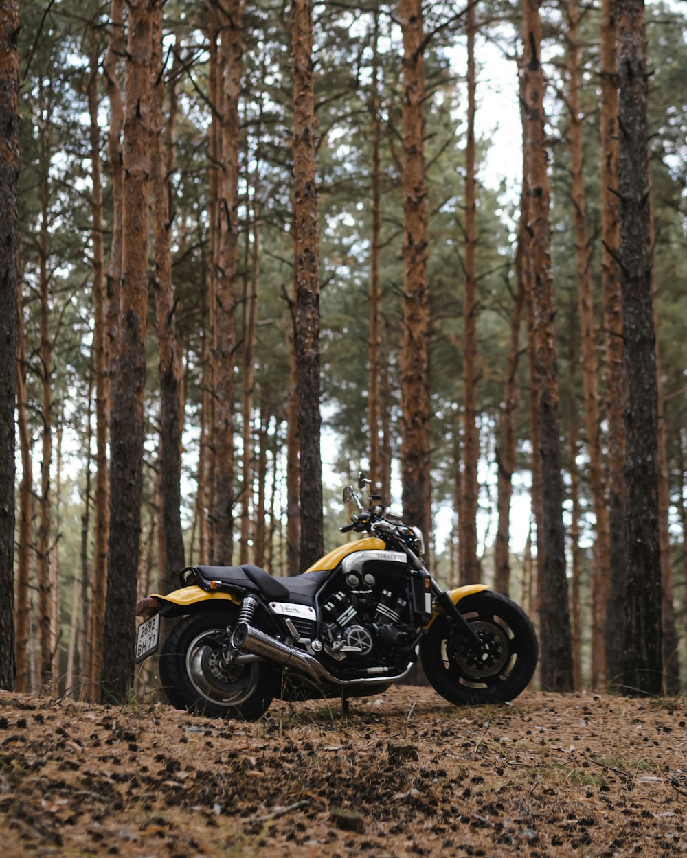 Motocicleta cruiser amarilla y negra rodeada de árboles