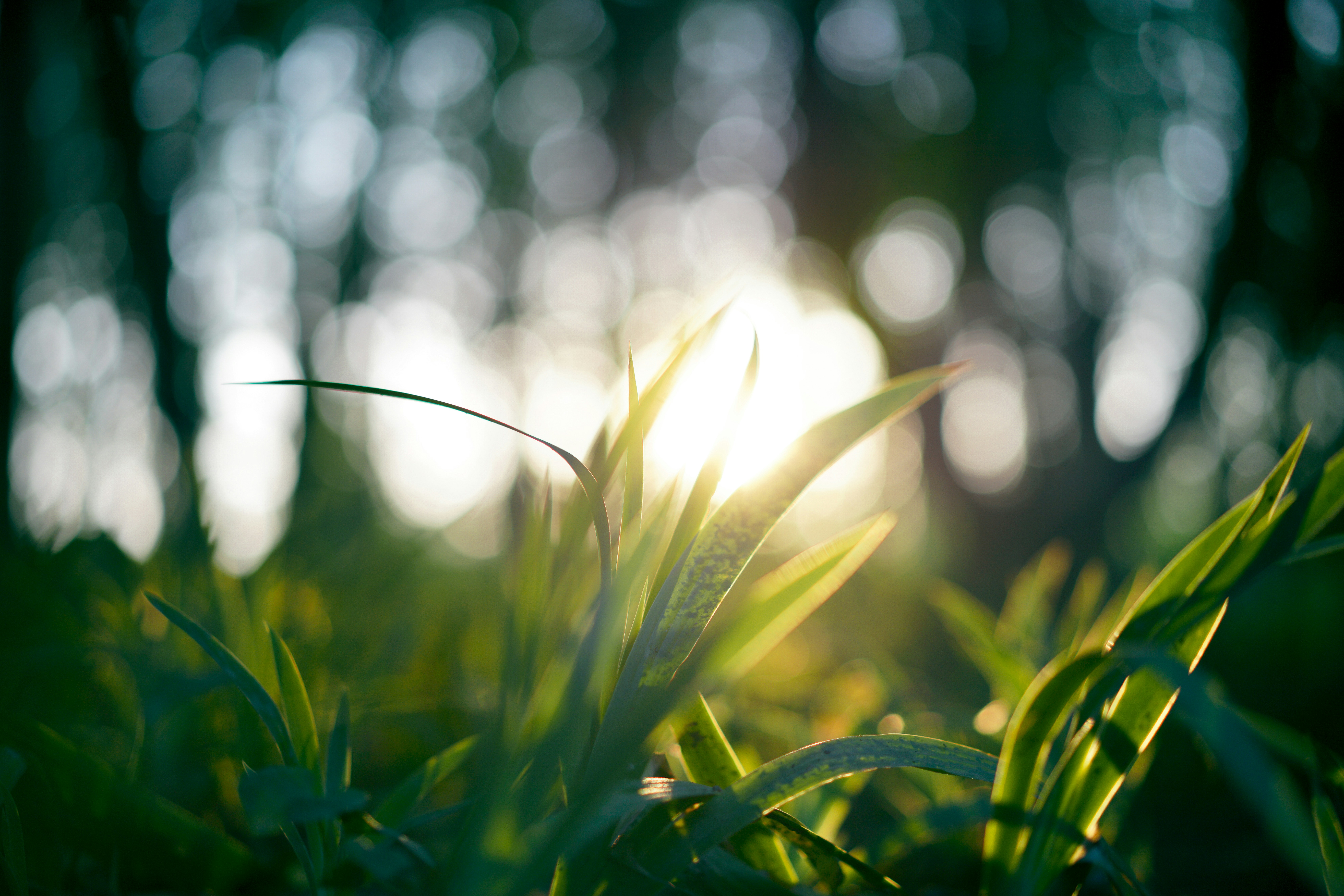 Photo by juniperphoton