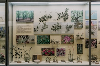 A display case contains various botanical specimens, including images and pressed plant samples. Photographs of lush green forests, close-ups of flowers, and detailed descriptions accompany the plant samples. The arrangement is organized and educational, showcasing a variety of plant species.