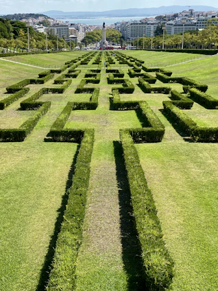 green grass field under clear blue sky