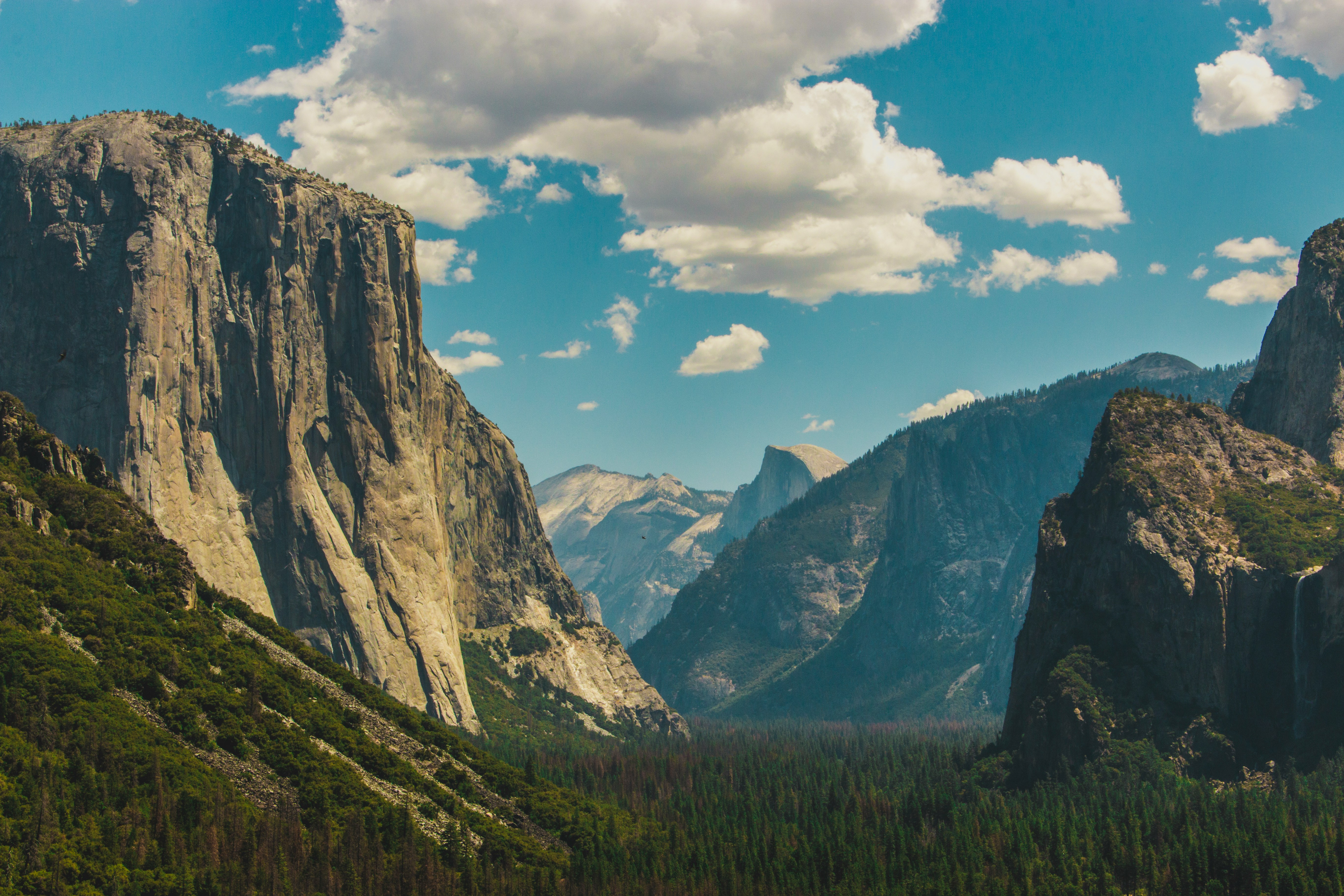 Yosemite Valley with trees and granite cliffs