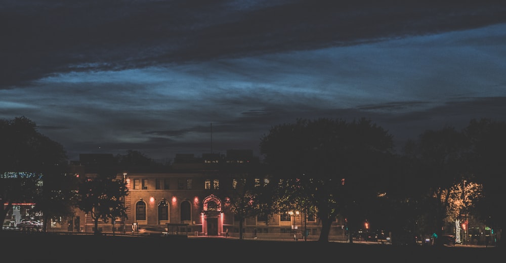 buildings and trees during night