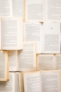 open book lot