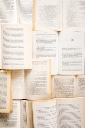 open book lot