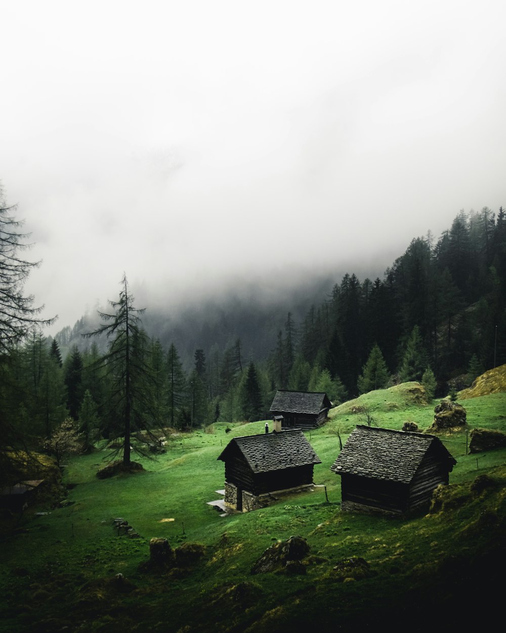 houses on grass field