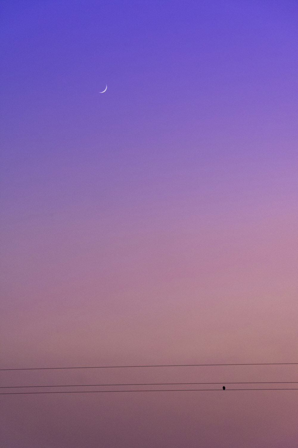 a purple sky with a half moon in the distance
