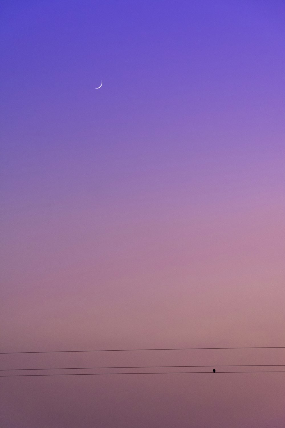 um céu roxo com uma meia lua ao longe