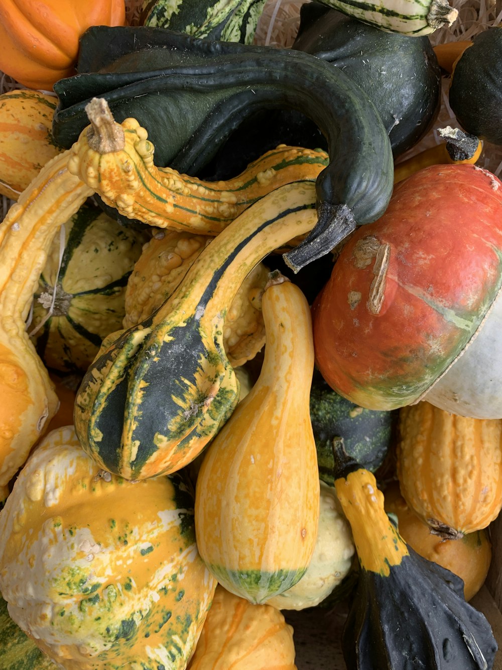 assorted-color squash lot