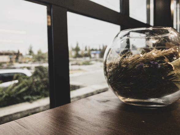 A serene workspace with dried herbs, glass tincture bottles, and a soft golden light filtering through leafy plants.