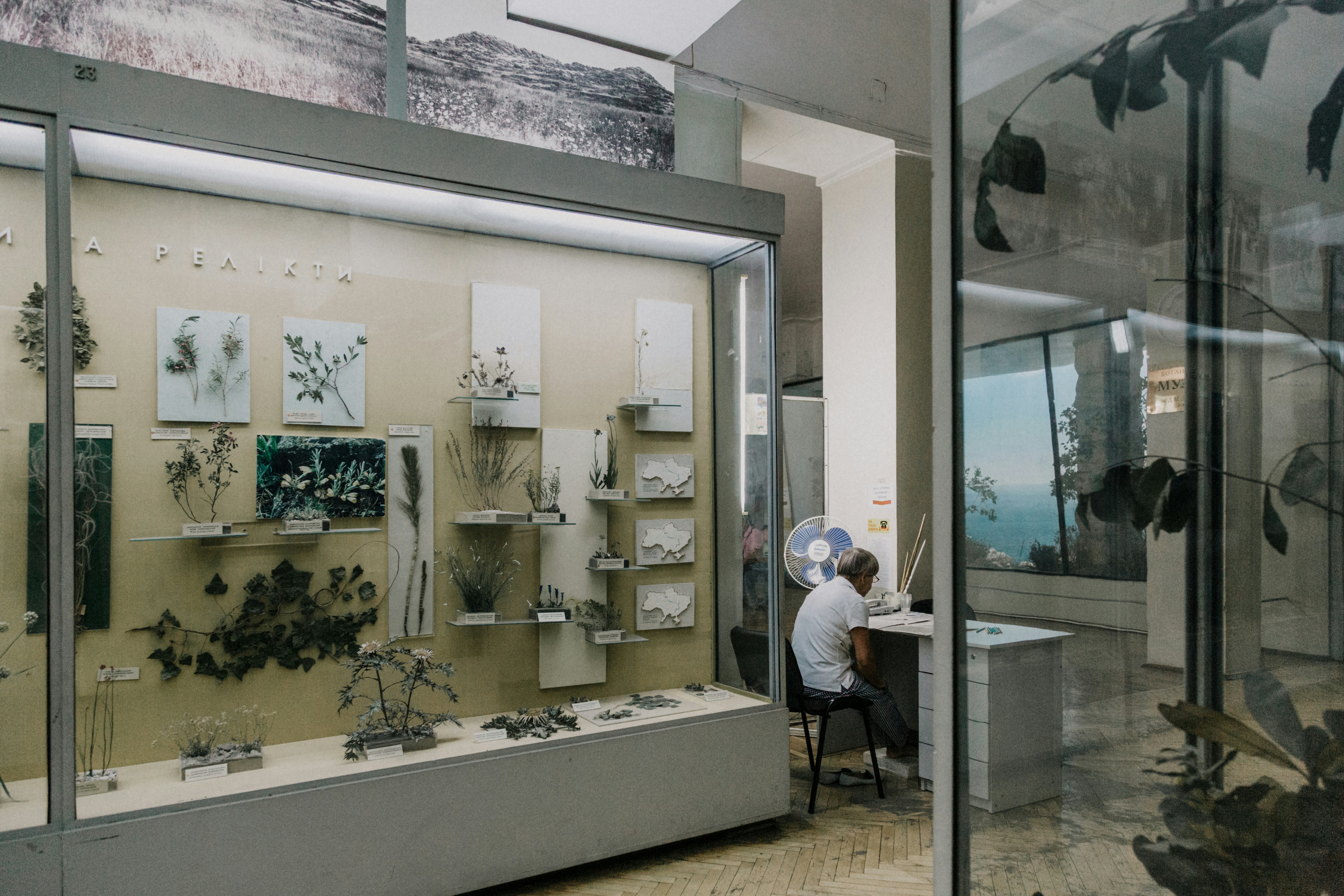 Photo by marjan_blan