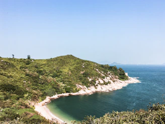 A serene coastal scene highlighting a conservation project protecting marine ecosystems.