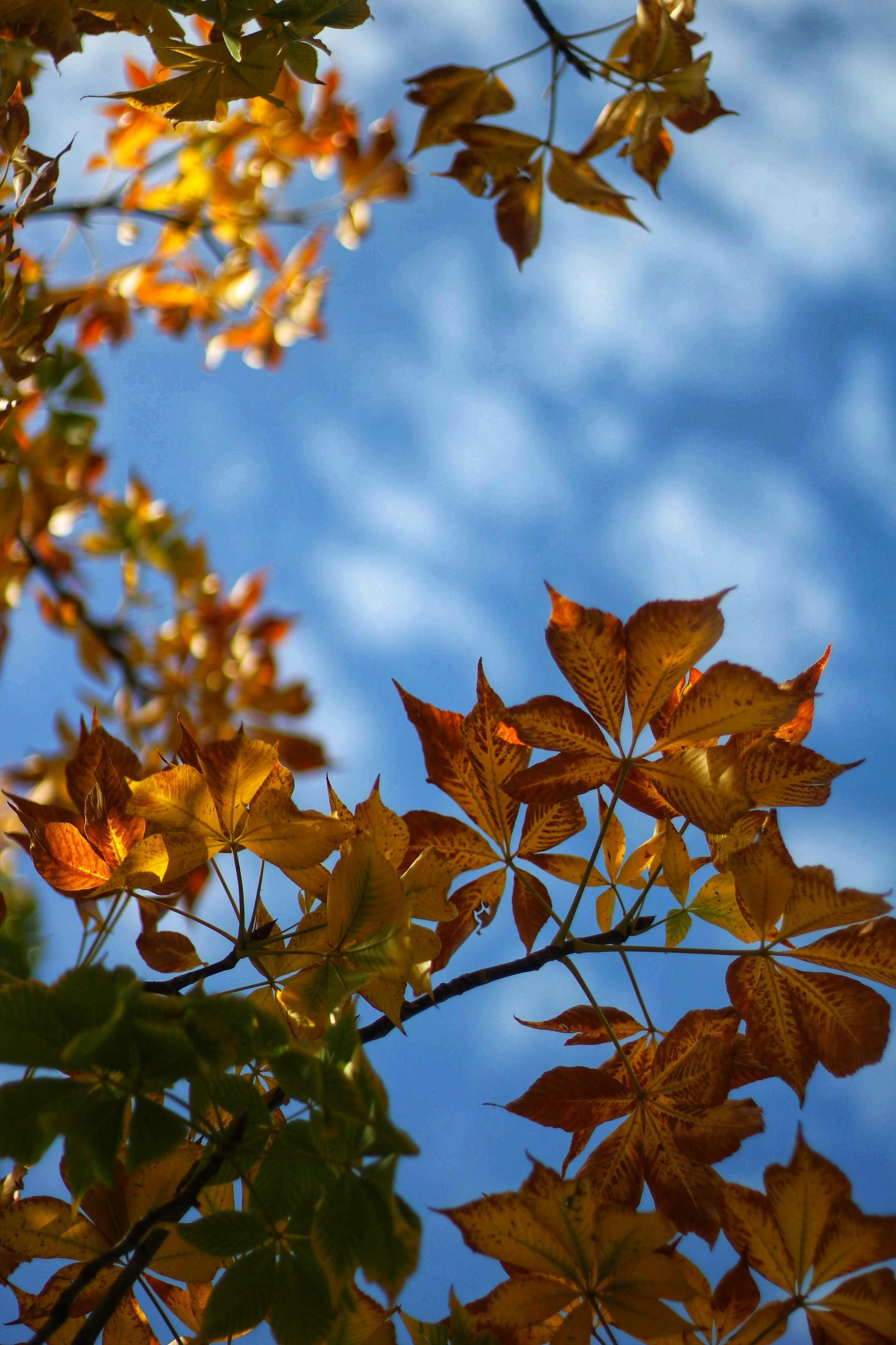 Photo by joshua_hoehne