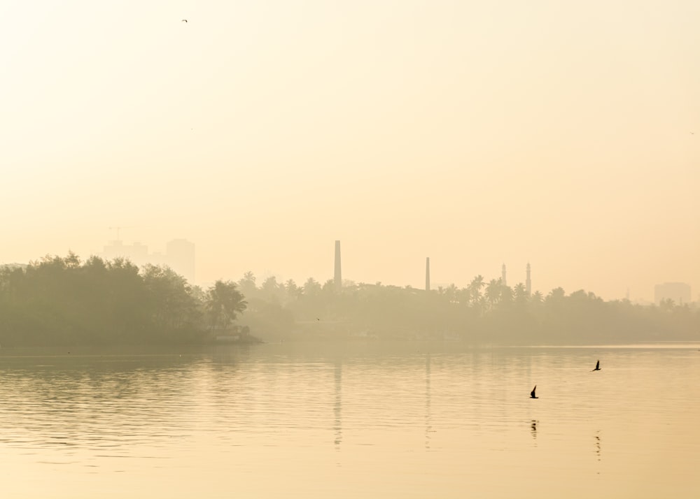 body of water at daytime