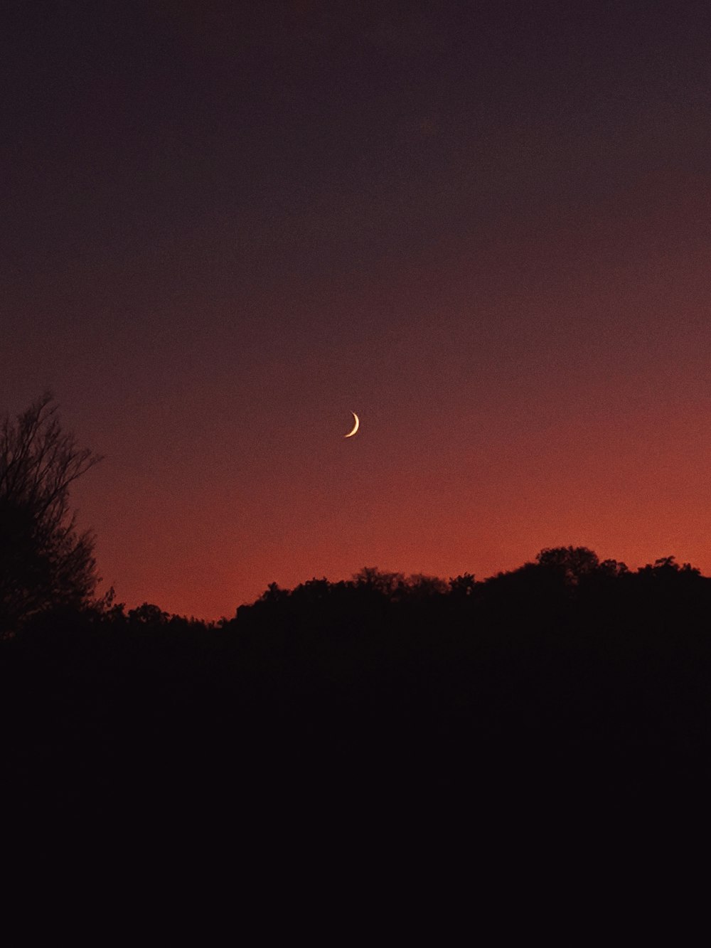 crescent moon