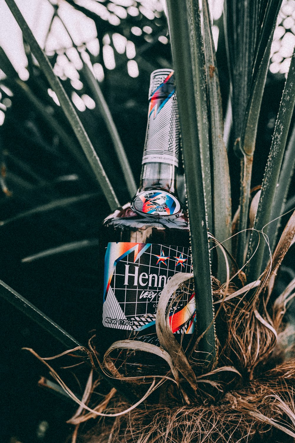 a bottle of alcohol sitting on top of a plant