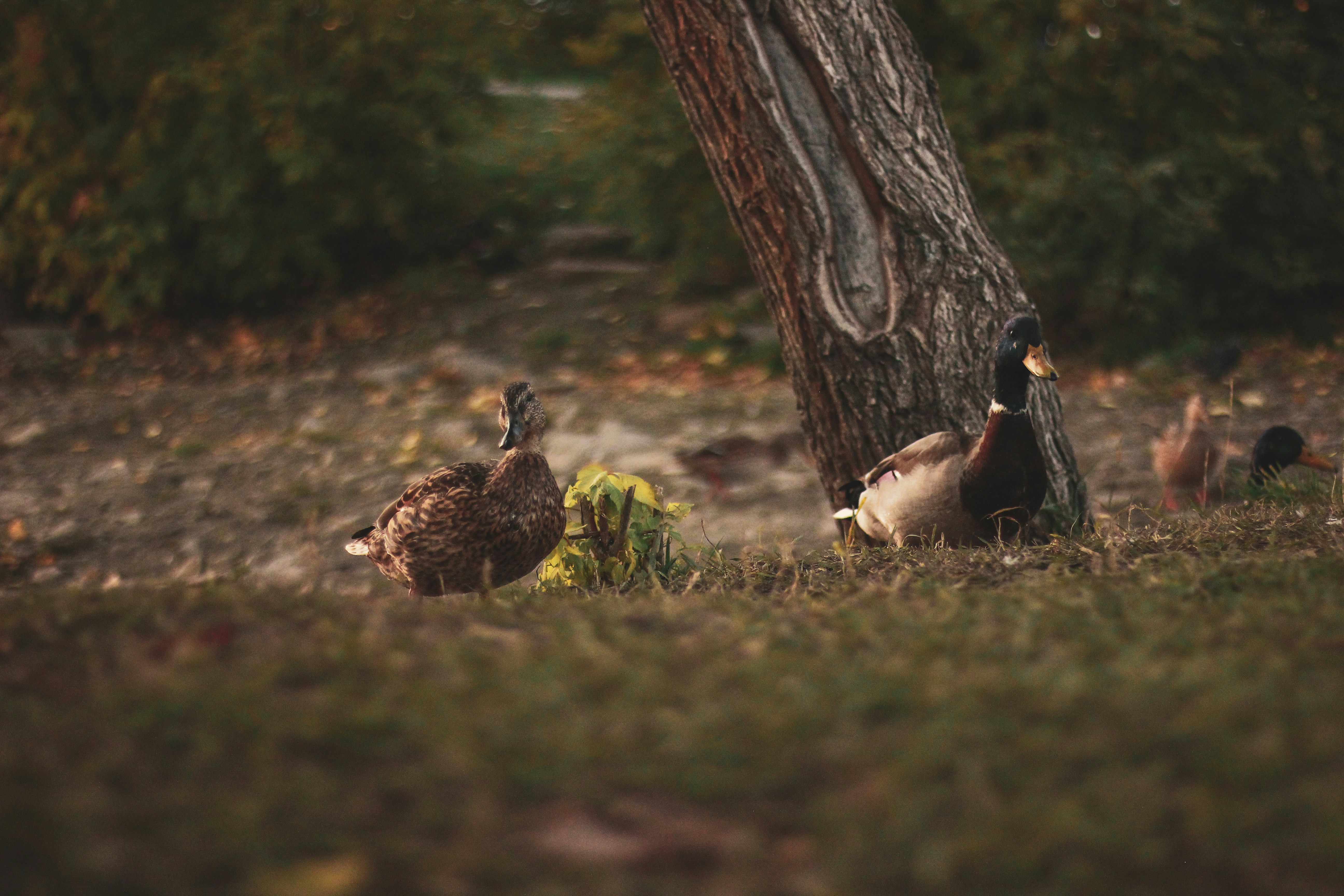 Photo by anastasiavitph