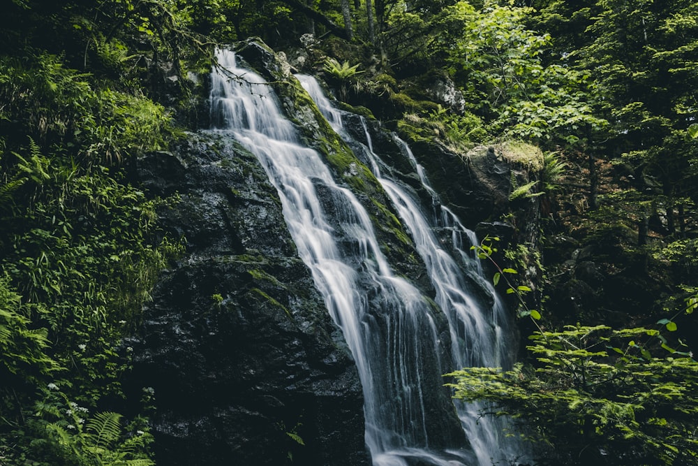 waterfalls beside trees