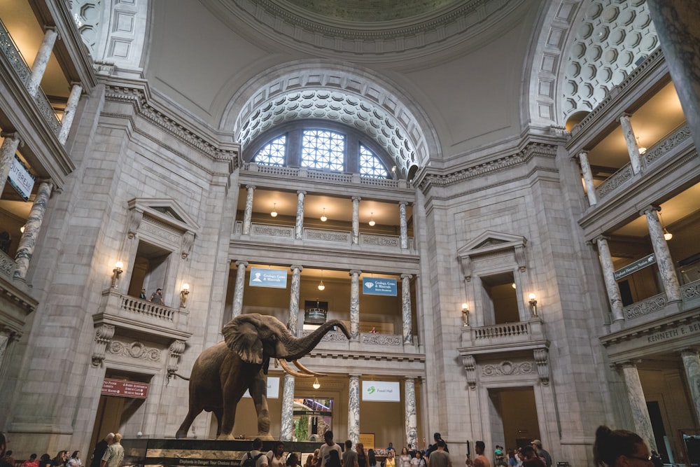 gray elephant statue