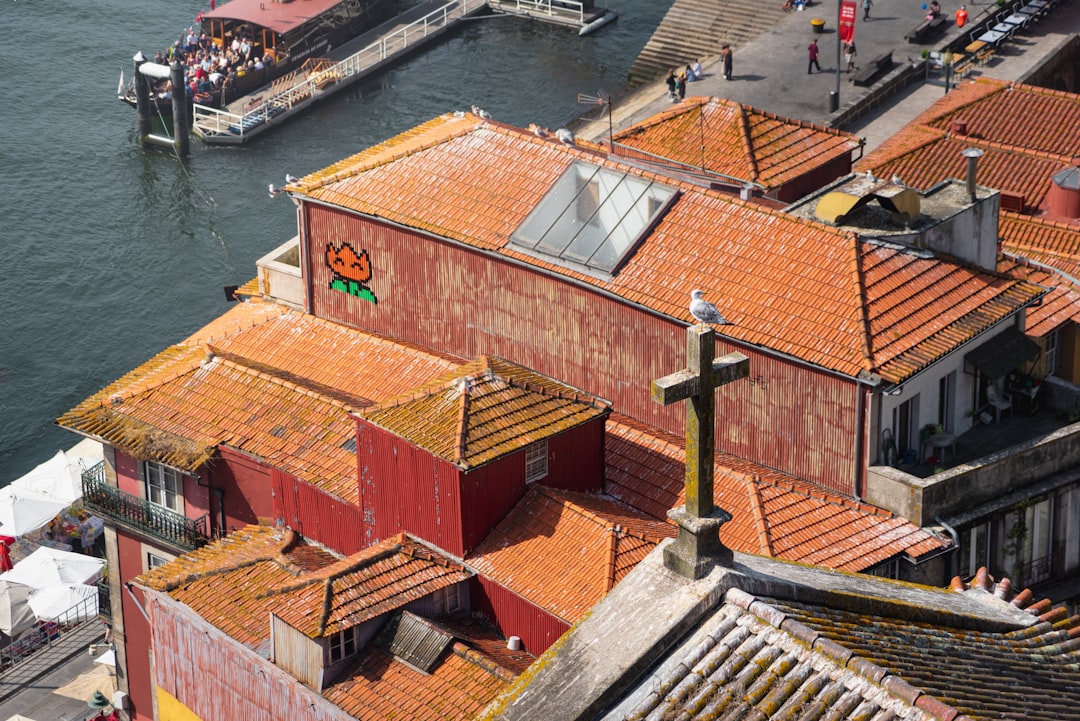 orange houses beside body of water