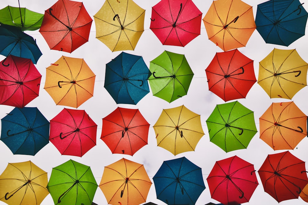 assorted-color umbrella lot