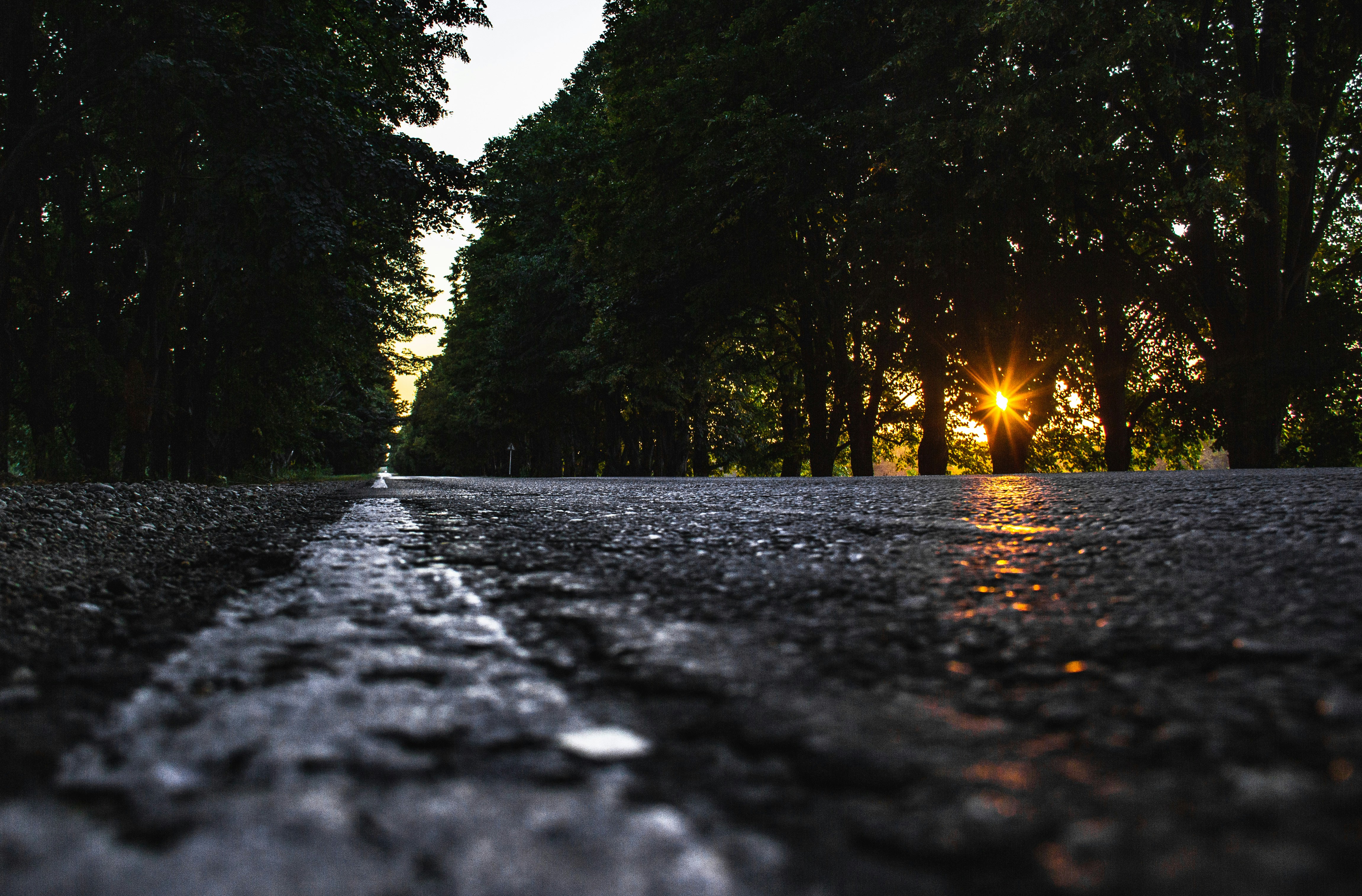 Photo by alexandr_bendus