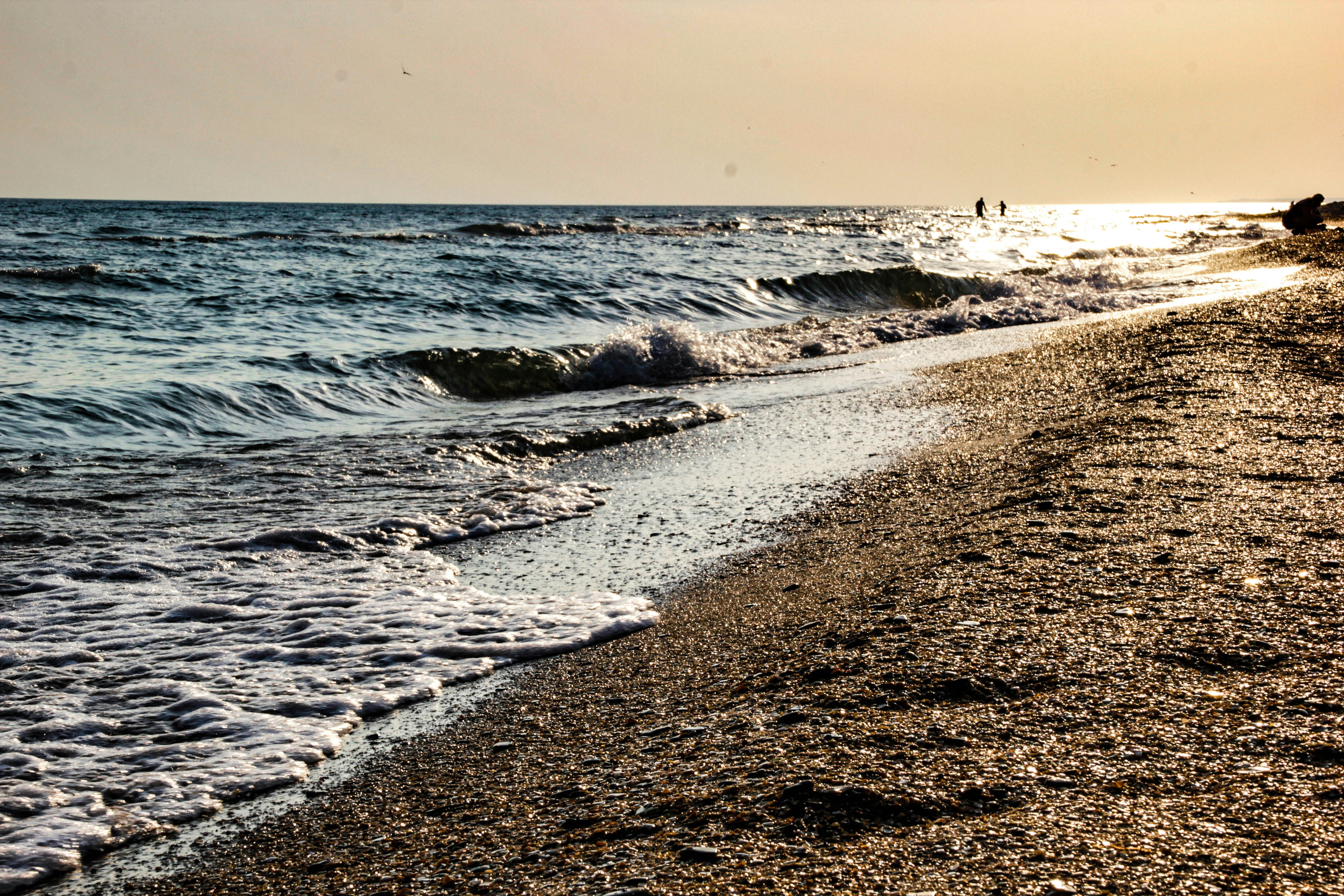 Photo by alexandr_bendus