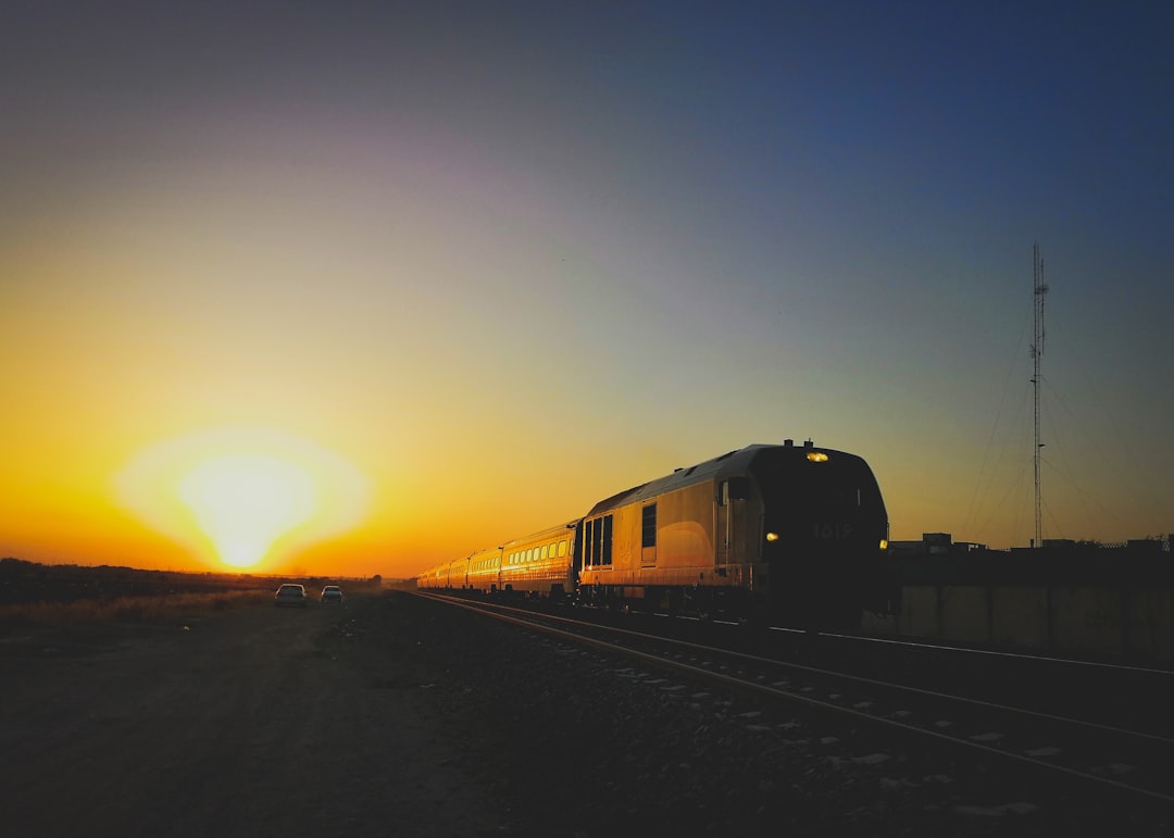 brown train during daytime photo