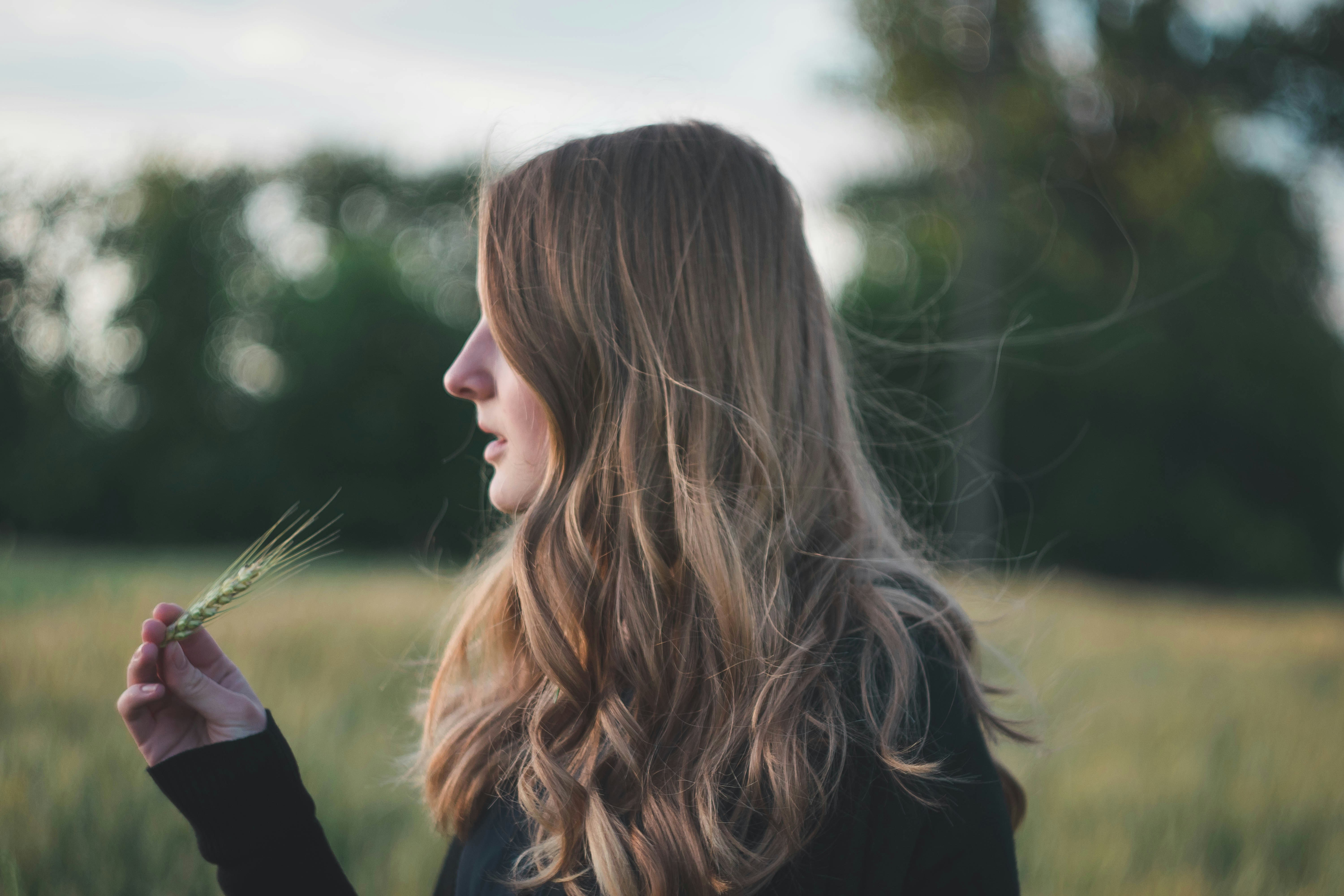 Photo by romanivna13