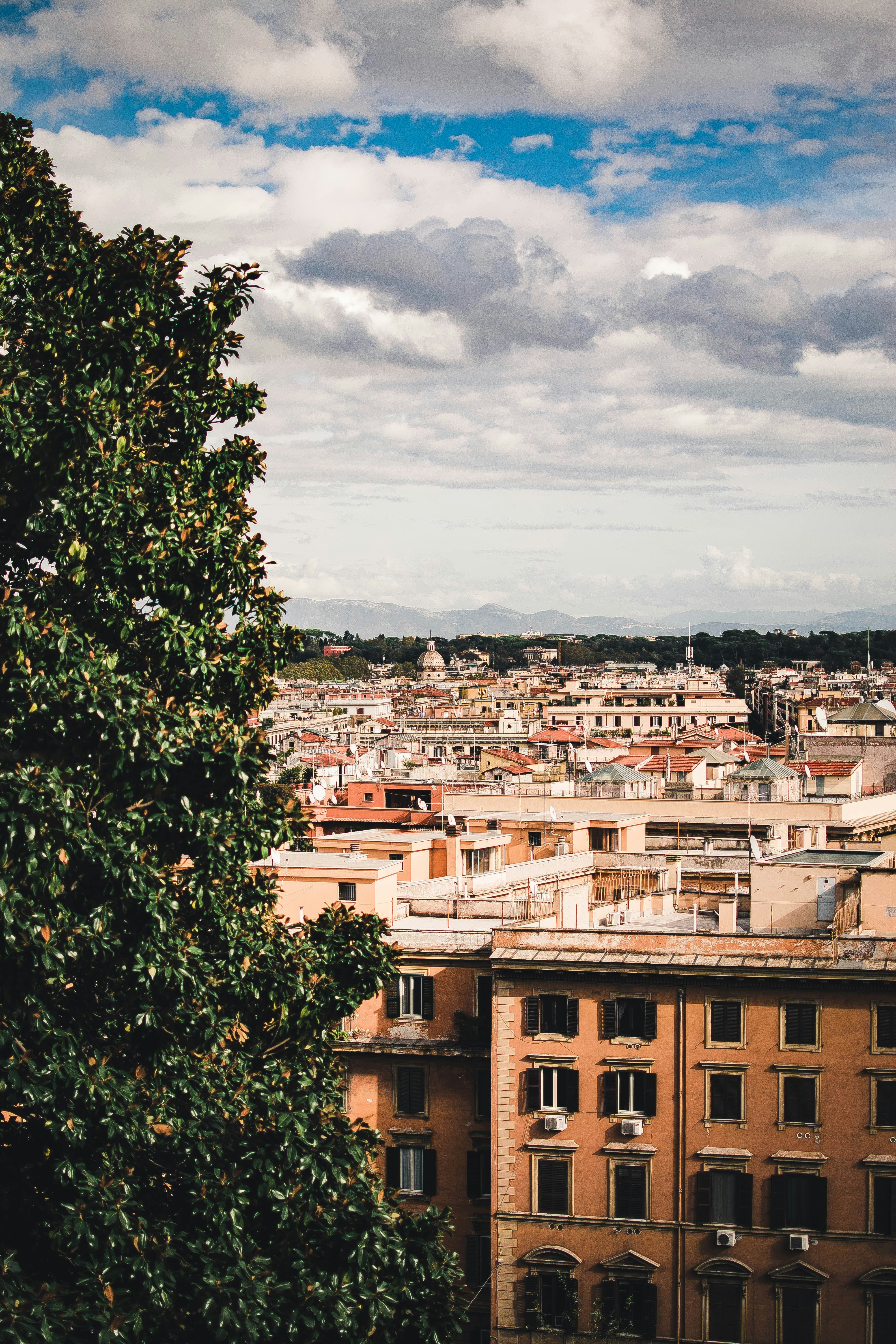 Photo by romanivna13