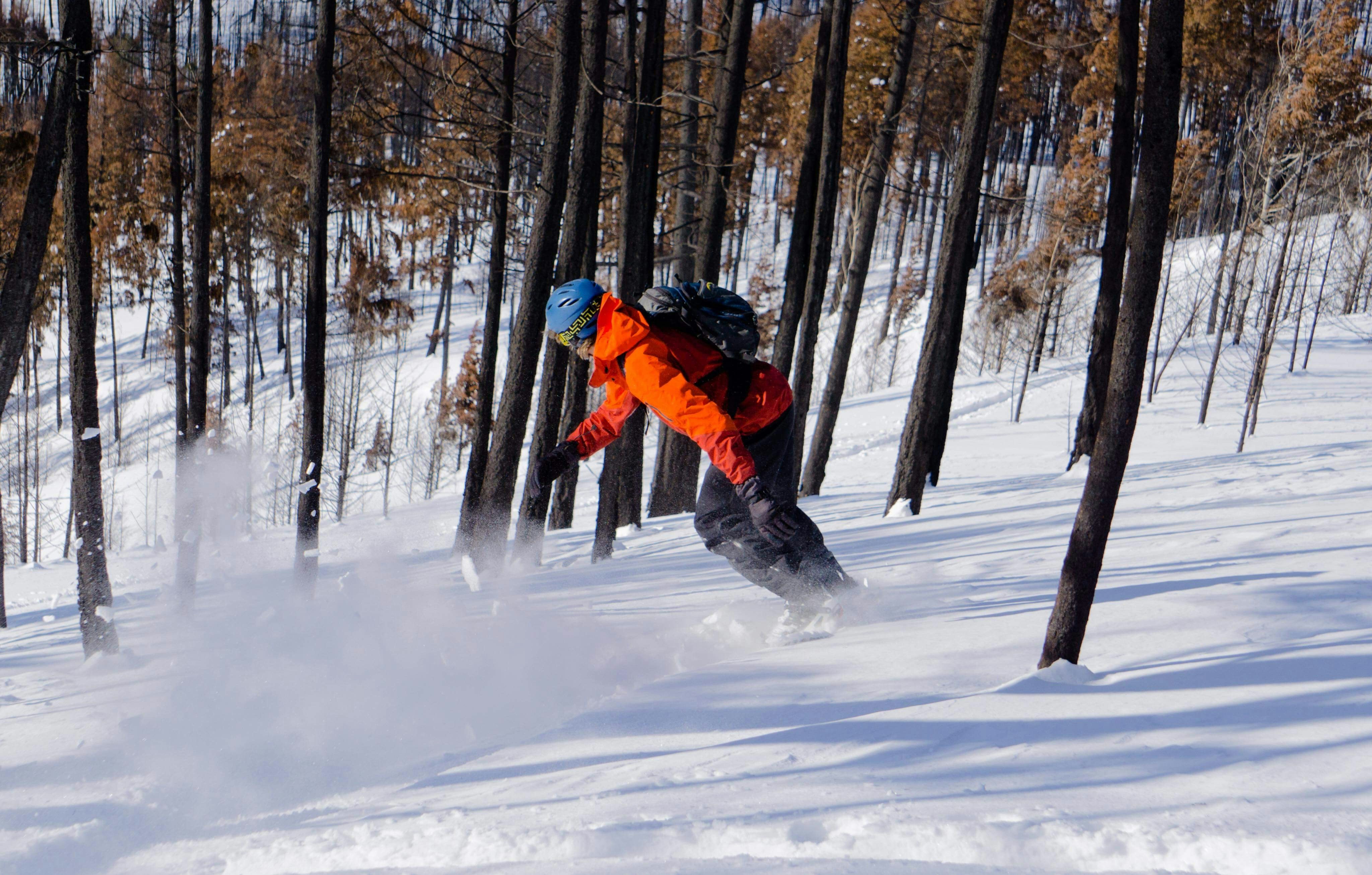 Photo by laughvender