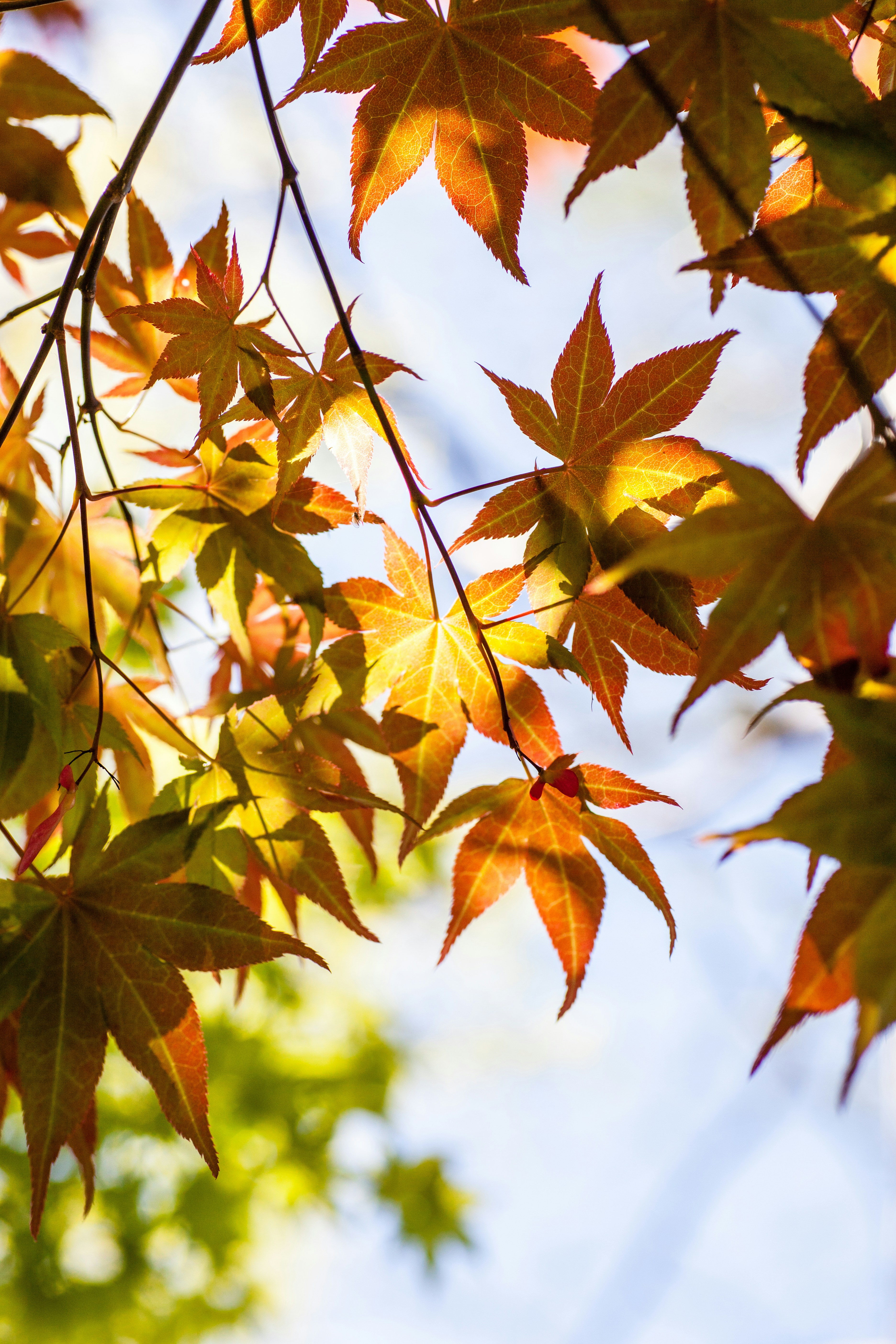 Photo by heathergill