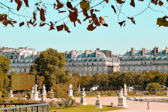 person walking on park