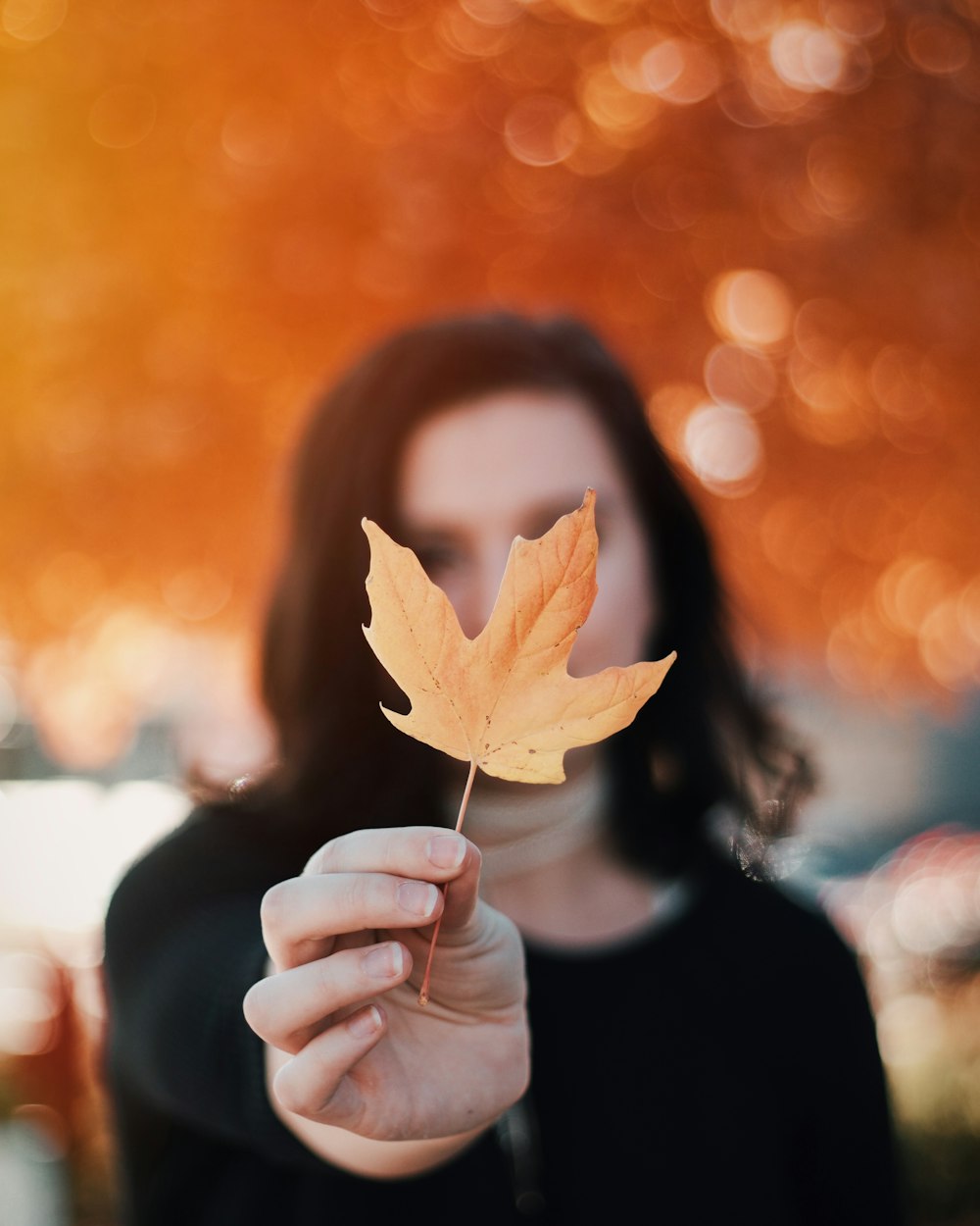 selective focus photography of woman holding brown maple leaf