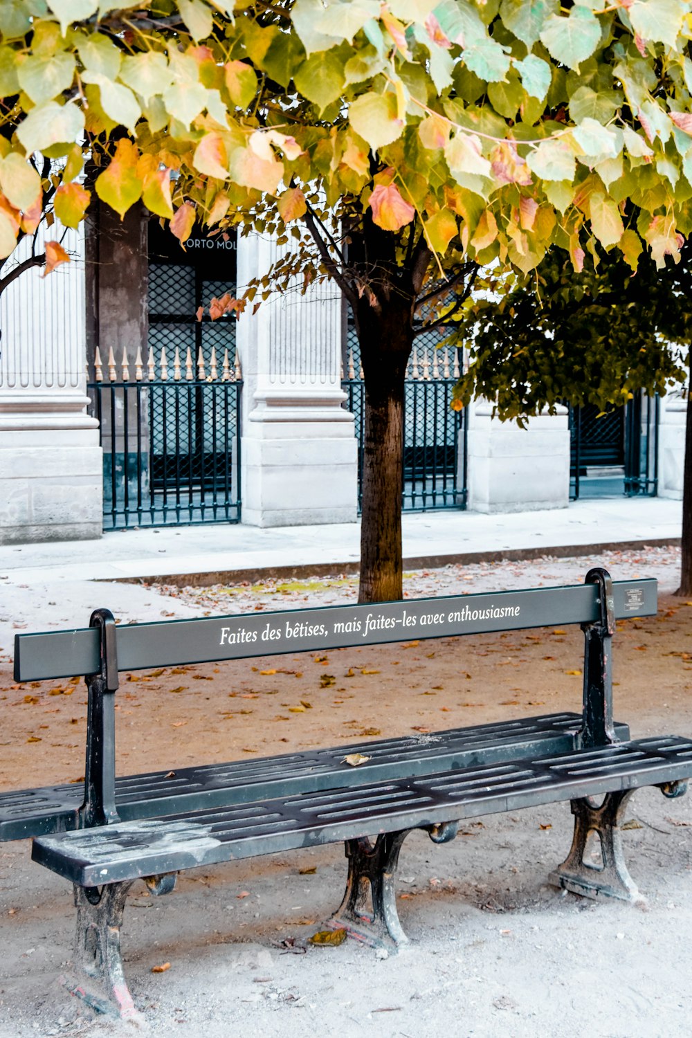 black wooden bench beside tree