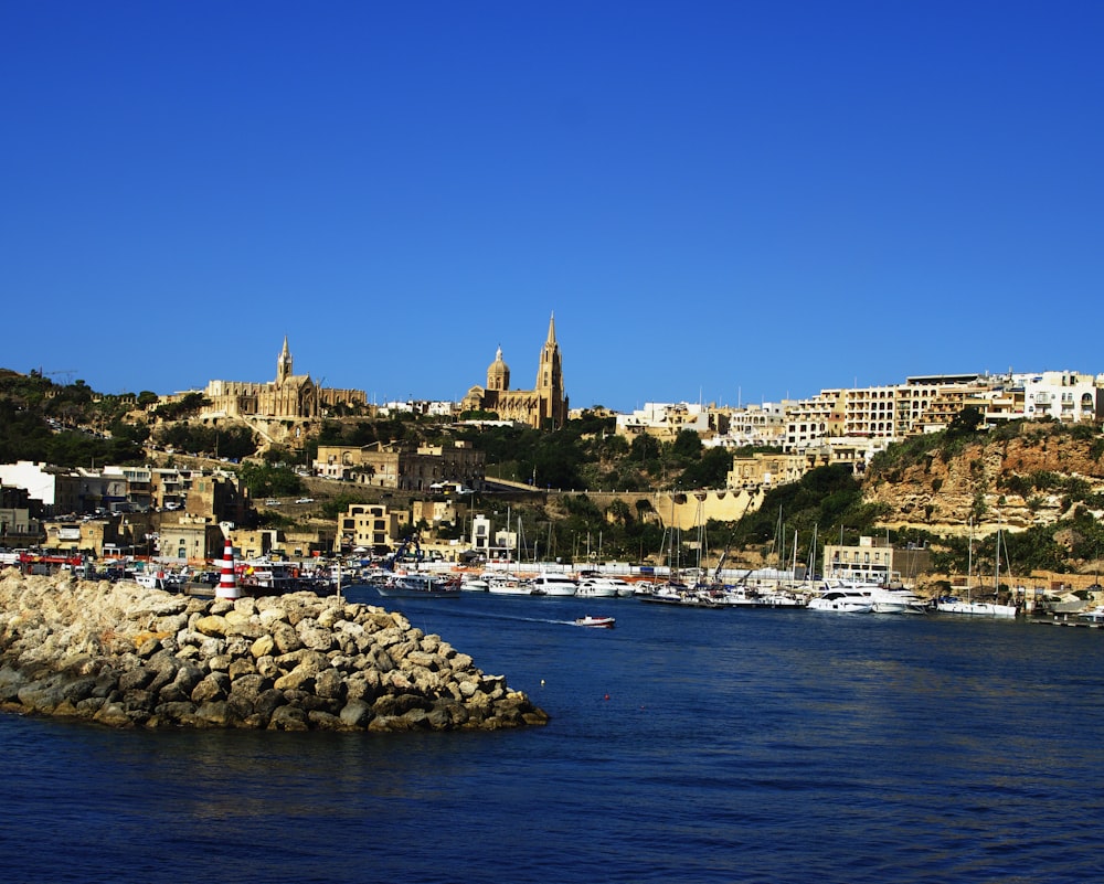 buildings across body of water