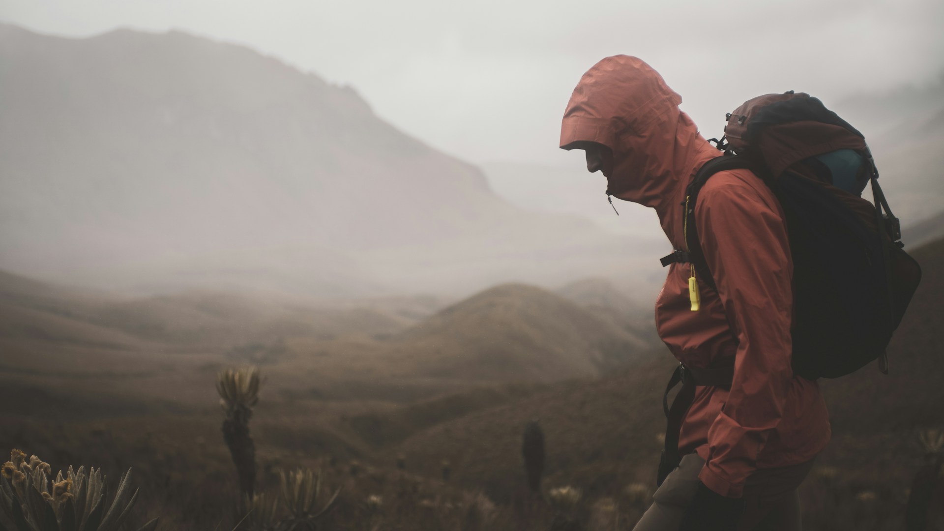 man wearing hiking backpack walking on grass field near mountains