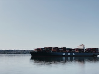 A large cargo ship loaded with containers sailing on calm blue waters.
