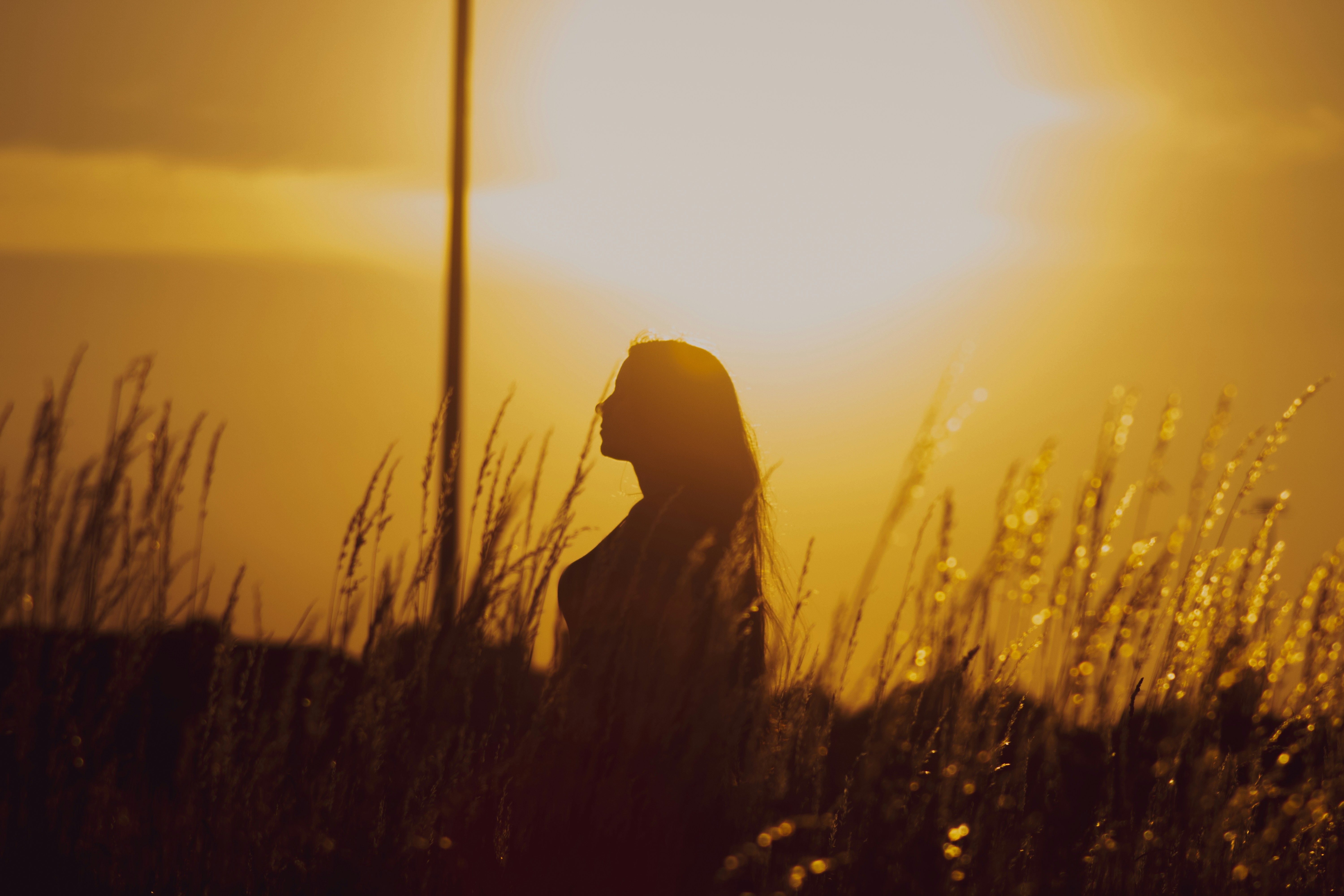 XOVBank header image