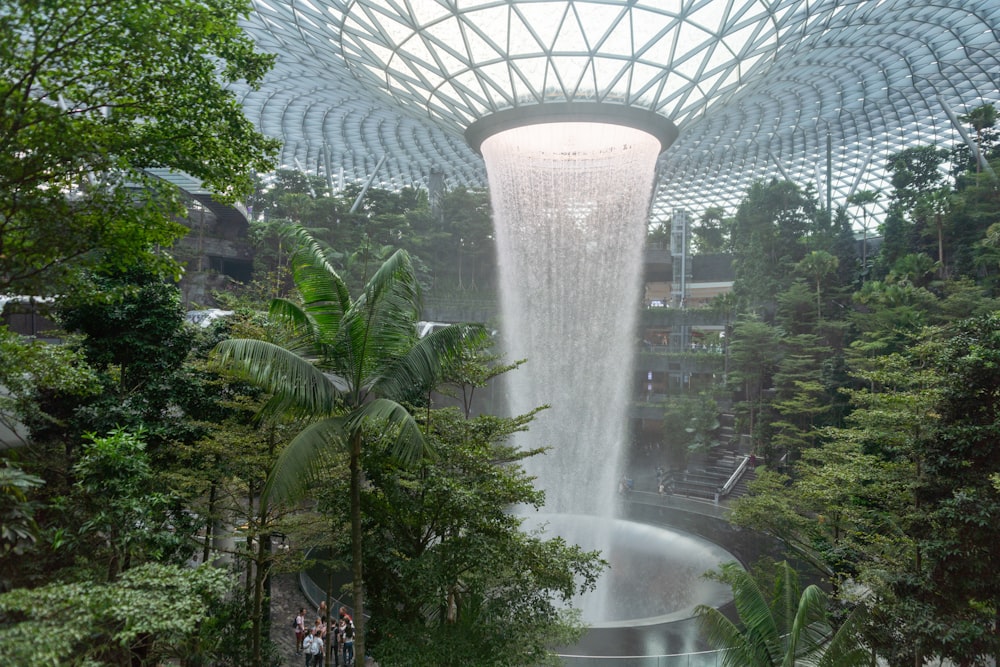 arbre vert à l’intérieur du bâtiment