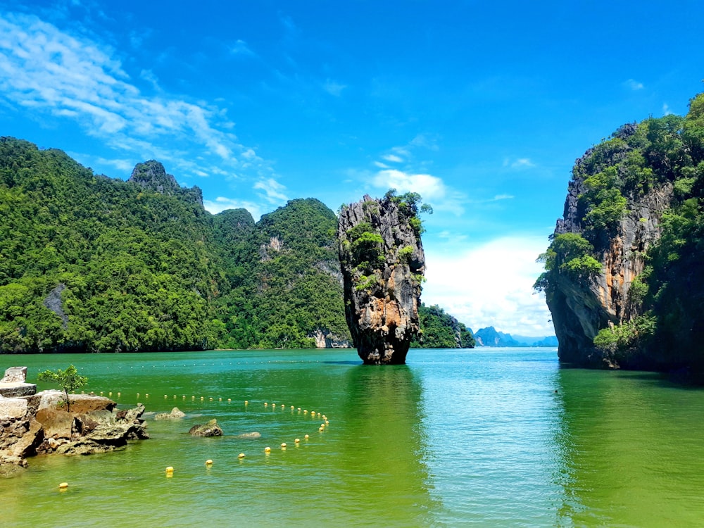 a body of water surrounded by mountains and trees